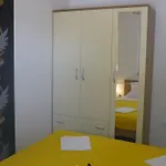 Apartman Apartment Seline